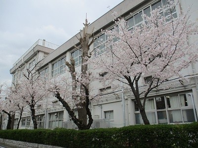 【小学校】江戸川区立東小岩小学校まで120ｍ