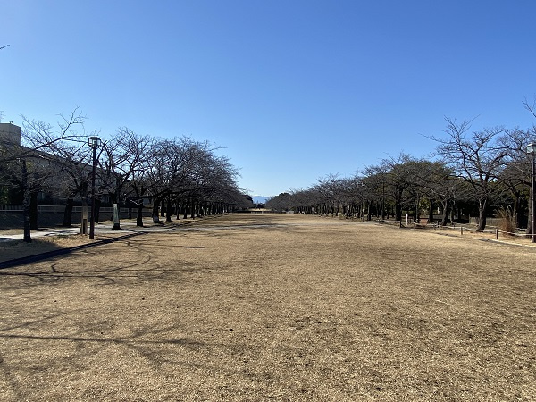 【公園】宝野公園まで301ｍ