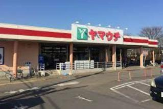 【スーパー】エコス　マスダ　ヤマウチ牛久店まで1916ｍ