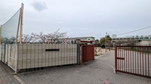 【小学校】田原本町立田原本小学校まで1353ｍ