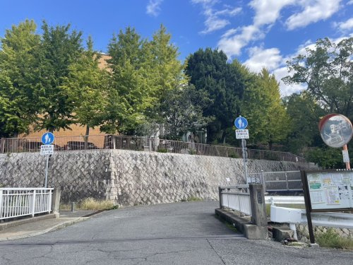 【図書館】頌栄短期大学図書館まで501ｍ