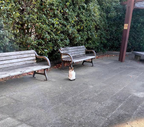 【公園】織茂公園まで577ｍ