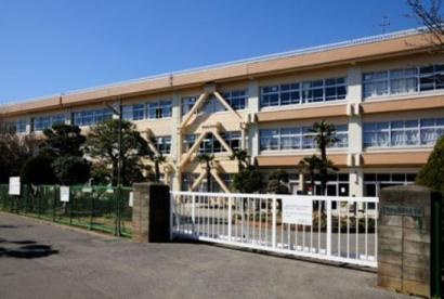 【小学校】柏市立柏第七小学校まで259ｍ