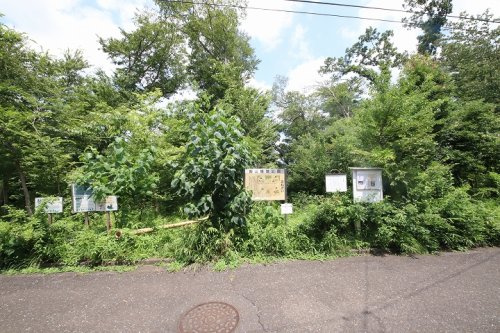 【公園】向山緑地公園まで790ｍ