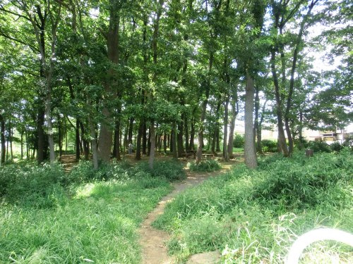 【公園】石神二丁目第二児童遊園(石神どんぐり公園)まで1300ｍ