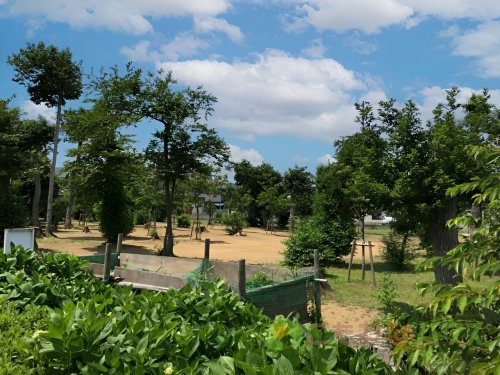 【公園】宮内緑地公園まで528ｍ