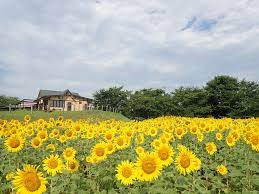 【公園】東松山市農林公園まで701ｍ