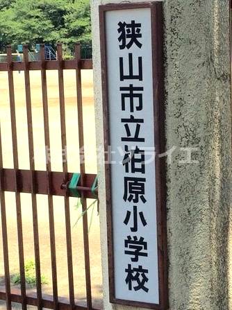 【小学校】狭山市立柏原小学校まで1726ｍ