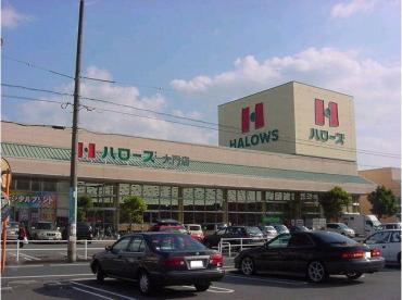 【スーパー】ハローズ　大門店まで524ｍ