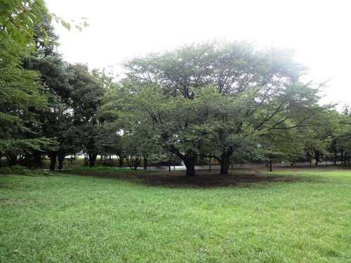 【公園】鶴間公園まで1503ｍ