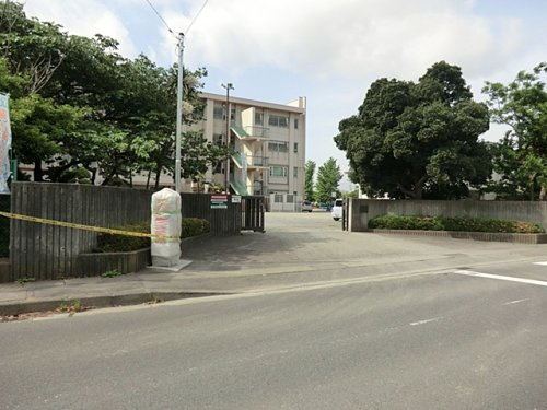 【小学校】海老名市立中新田小学校まで1146ｍ
