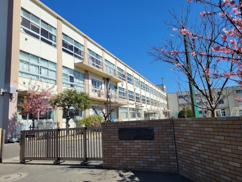 【中学校】茅ヶ崎市立松浪中学校まで541ｍ