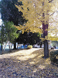 【公園】元町裏公園まで209ｍ