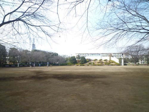 【公園】文理台公園まで213ｍ