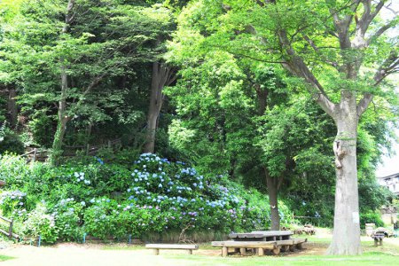 【その他】上矢部ふれあいの樹林まで948ｍ