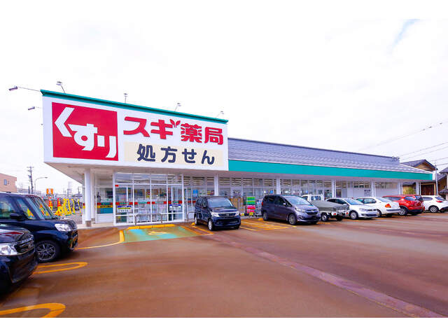 【ドラッグストア】スギ薬局神谷内店まで1354ｍ