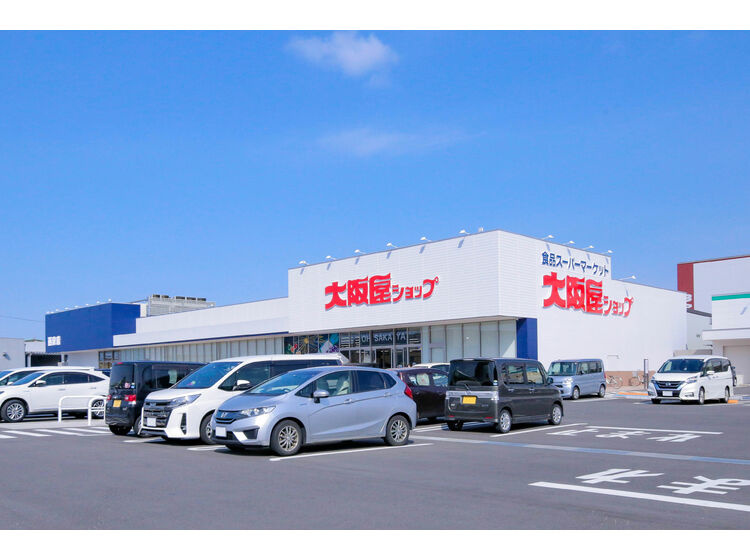 【スーパー】大阪屋ショップ西泉店まで619ｍ