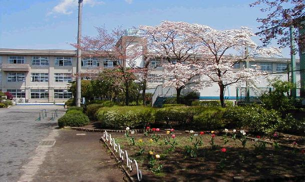 【小学校】松枝小学校まで1688ｍ