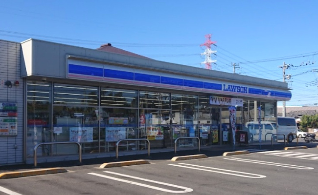 【コンビニエンスストア】ローソン　上尾平塚南店まで1062ｍ