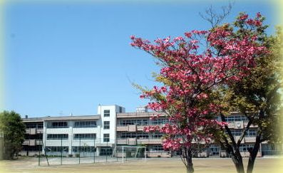 【中学校】白岡市立篠津中学校まで1279ｍ