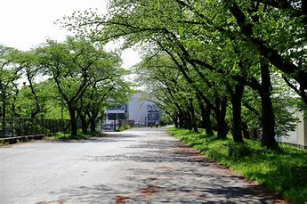 【スポーツ施設】武蔵野公園まで586ｍ