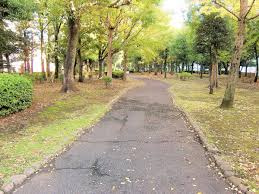 【公園】目黒清掃工場緩衝緑地まで103ｍ