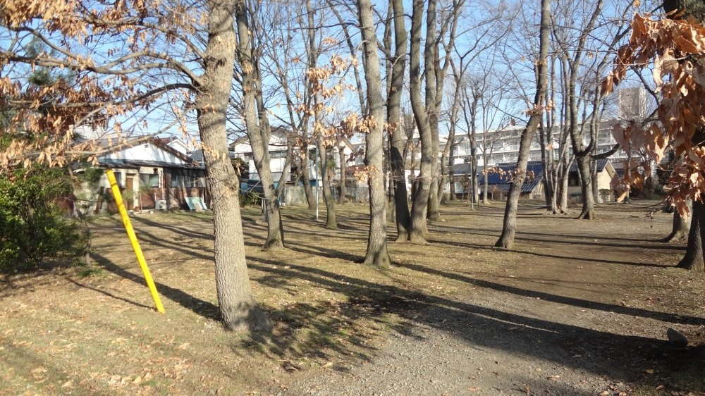 【公園】諏訪鍛冶屋久保緑地まで559ｍ