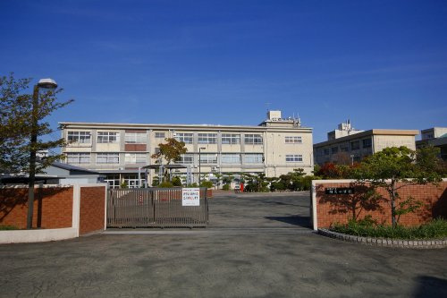 【小学校】楠見小学校まで659ｍ