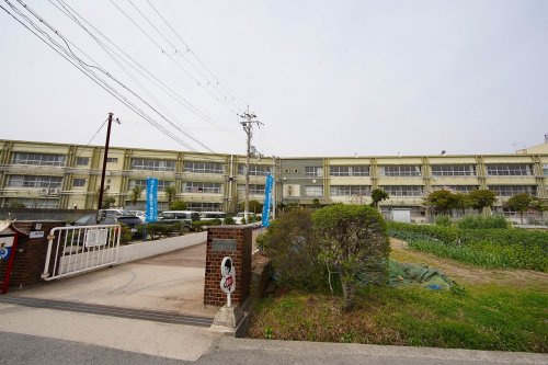 【小学校】野崎西小学校まで1125ｍ