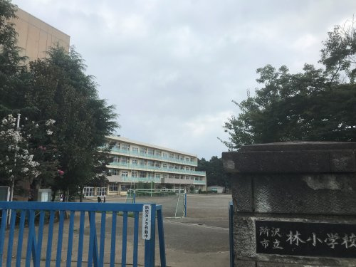 【小学校】林小学校まで902ｍ