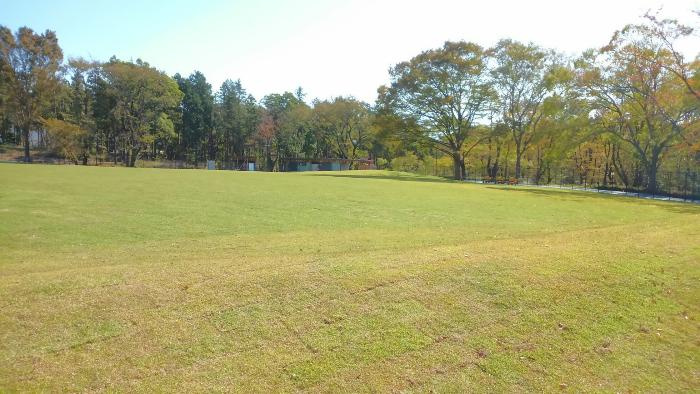 【スポーツ施設】鶴間公園運動広場まで1345ｍ