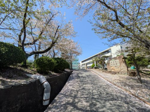 【中学校】岡山市立妹尾中学校まで768ｍ