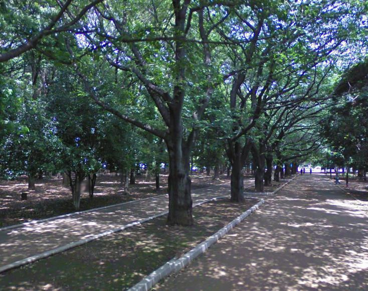 【公園】光が丘公園まで1799ｍ