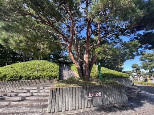 【公園】高坂丘陵1号公園まで464ｍ