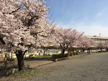 【小学校】青梅市立今井小学校まで1100ｍ