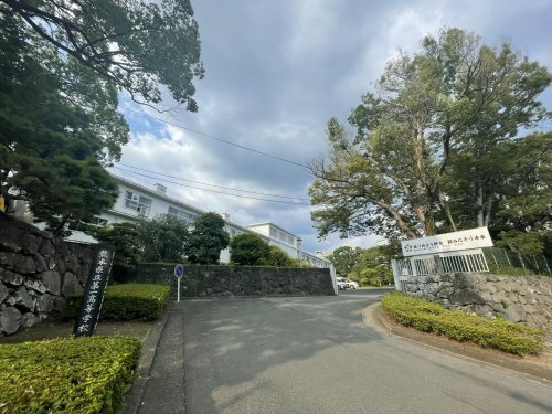 【高校】熊本県立第一高校まで498ｍ