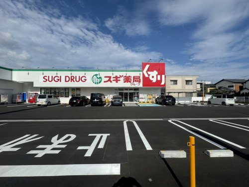 【ドラッグストア】スギドラッグ　駿河広野店まで786ｍ