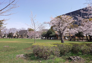 【公園】稲毛東公園まで578ｍ