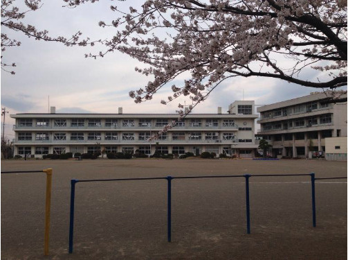 【小学校】吉見町立南小学校まで671ｍ