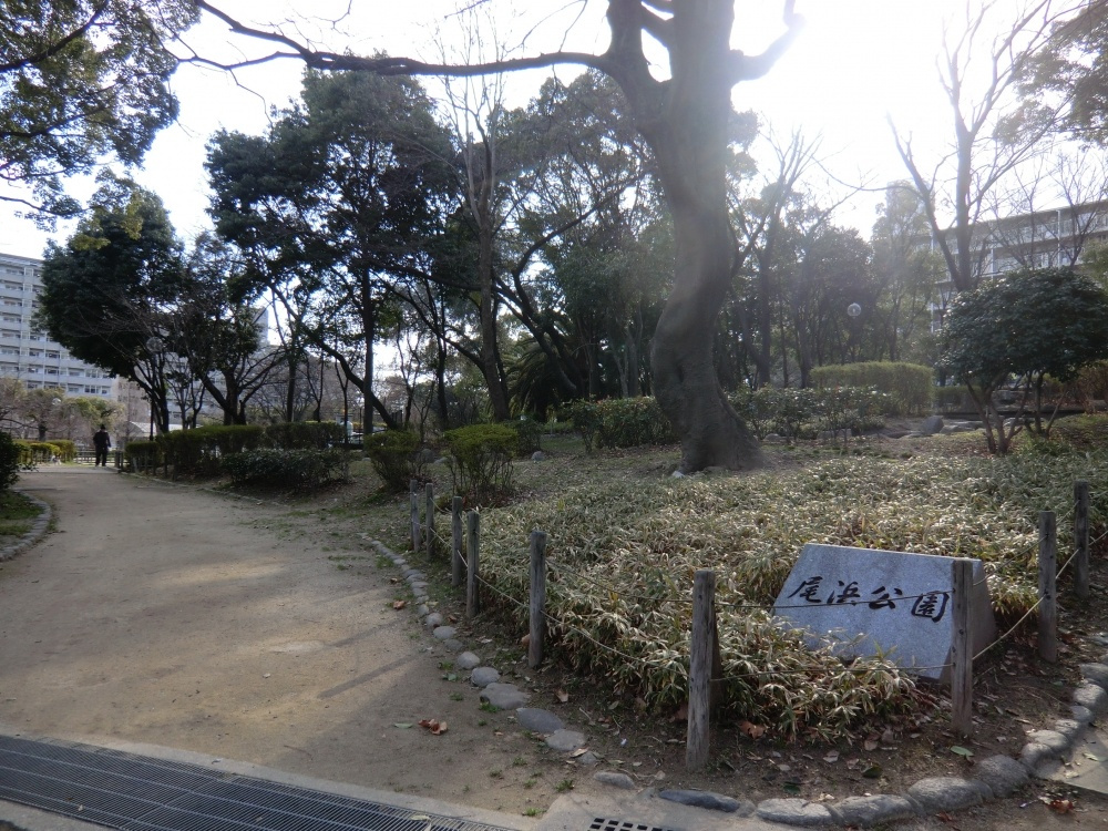 【公園】尾浜公園まで245ｍ