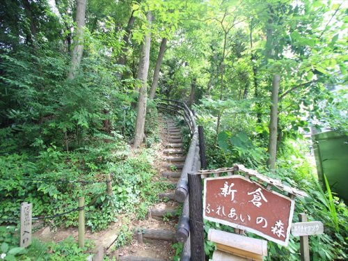 【公園】新倉ふれあいの森まで240ｍ