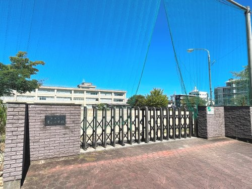 【小学校】津市立養正小学校まで169ｍ