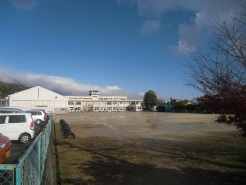 【小学校】大津市立和邇小学校まで2452ｍ
