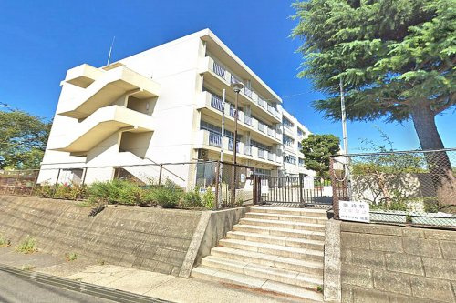 【小学校】横浜市立折本小学校まで1014ｍ