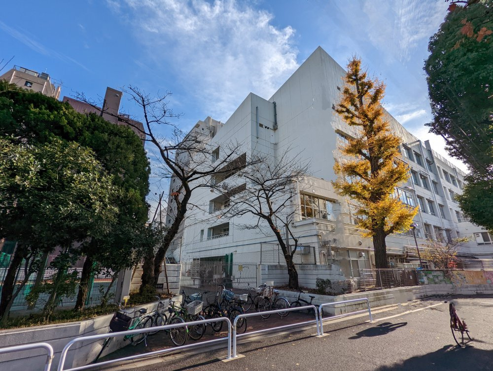 【中学校】柏葉中学校まで209ｍ