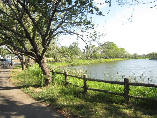 【公園】乙戸沼公園まで1057ｍ