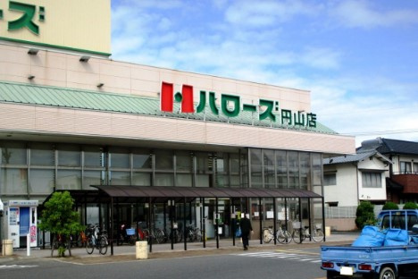 【スーパー】ハローズ　円山店まで1578ｍ