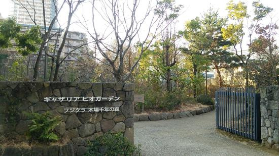 【公園】深川ギャザリアビオガーデンまで440ｍ
