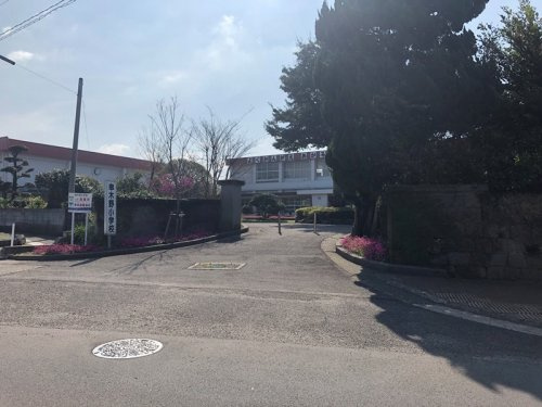 【小学校】いちき串木野市立串木野小学校まで904ｍ