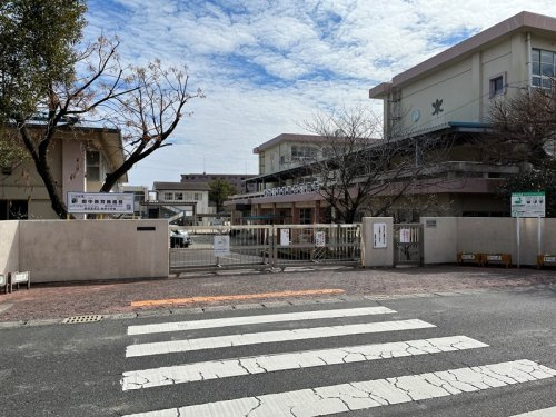 【小学校】鹿児島市立紫原小学校まで1114ｍ